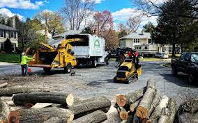 Best Tree Risk Assessment  in Kennedy, CA